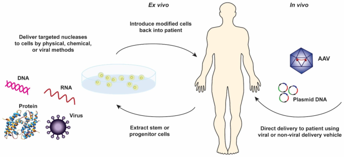 Prospective approaches to gene therapy computational modeling - spotlight on viral gene therapy.