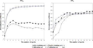 Using the local symmetry in amino acids sequences of polypeptides to improve the predictive potential of models of their inhibitor activity