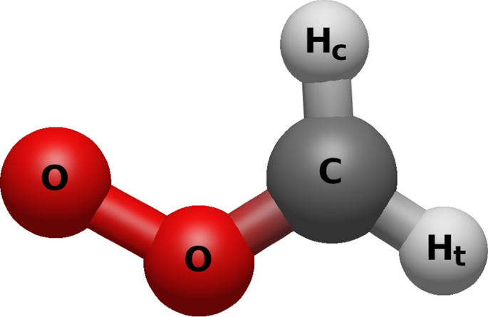 Harnessing the power of curvilinear internal coordinates: from molecular structure prediction to vibrational spectroscopy