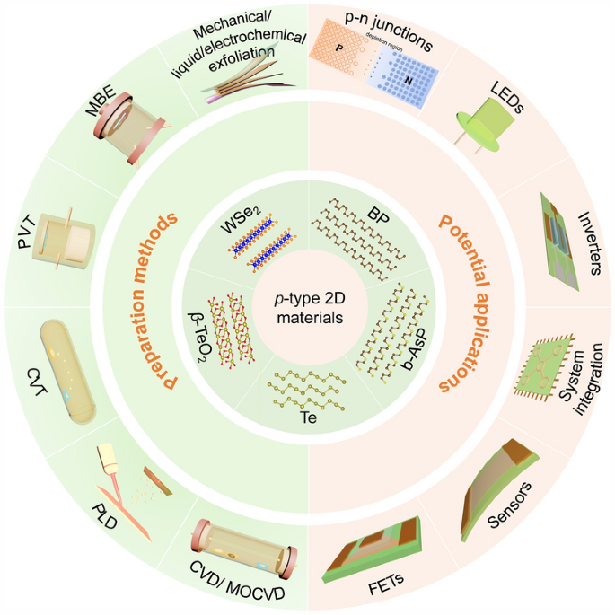 p-Type Two-Dimensional Semiconductors: From Materials Preparation to Electronic Applications