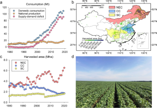 Can China get out of soy dilemma? A yield gap analysis of soybean in China