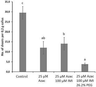 Ex vitro Morpho-Physiological Screening of Drought Tolerant Sugarcane Epimutants Generated Via 5-Azacytidine and Imidacloprid Treatments