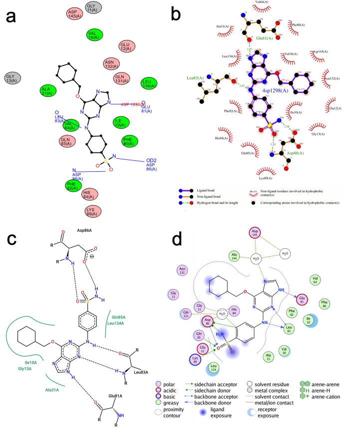 PoseEdit: enhanced ligand binding mode communication by interactive 2D diagrams