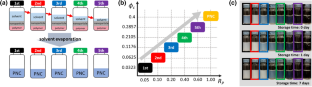 Effect of initial solvent concentration on the structure and property of polymer nanocomposites