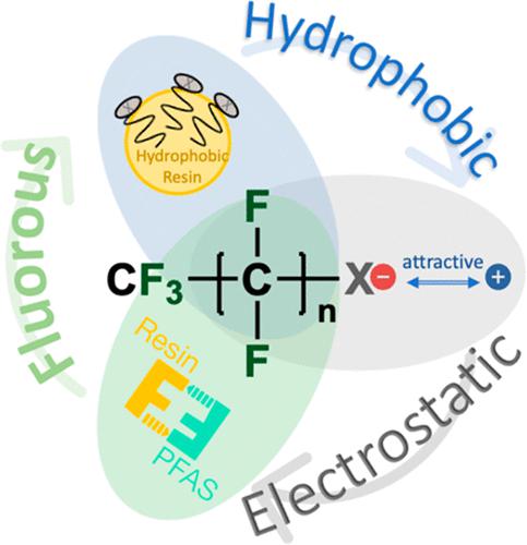 Advancing PFAS Sorbent Design: Mechanisms, Challenges, and Perspectives