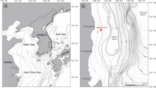 Palynostratigraphy indication of the Pliocene–Pleistocene boundary in Hupo Basin of the East Sea, offshore Korea