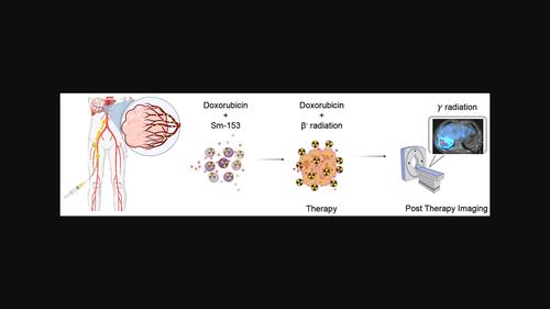 Development and physicochemical characterization of a biodegradable microspheres formulation loaded with samarium-153 and doxorubicin for chemo-radioembolization of liver tumours