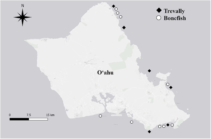 Mercury accumulation and biomarkers of exposure in two popular recreational fishes in Hawaiian waters.