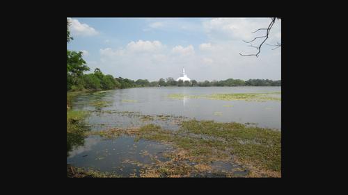 Domestication of water: Management of water resources in the dry zone of Sri Lanka as living cultural heritage