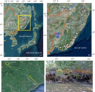 Atmospheric Anomaly Bioindicators in Peat Sections on the Eastern Macroslope of the Sikhote-Alin Range in the Late Holocene