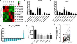 CircGLIS3 inhibits thyroid cancer invasion and metastasis through miR-146b-3p/AIF1L axis.