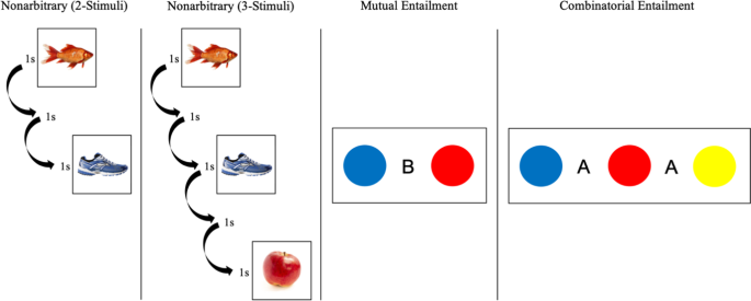 Assessing Temporal Relational Responding in Young Children