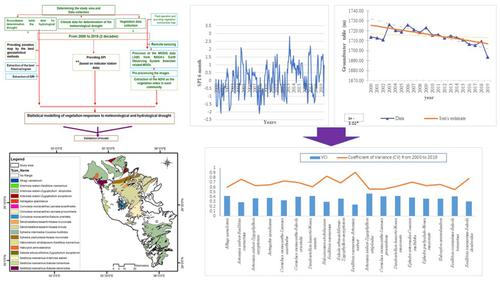 Investigating the vegetation's temporal–spatial response to meteorological and hydrogeological drought in drylands