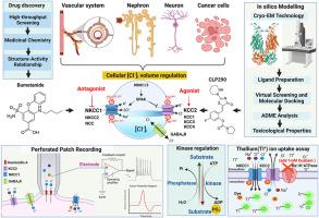 The role of SLC12A family of cation-chloride cotransporters and drug discovery methodologies