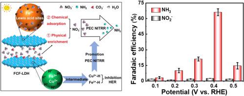 FCF-LDH/BiVO4 with synergistic effect of physical enrichment and chemical adsorption for efficient reduction of nitrate