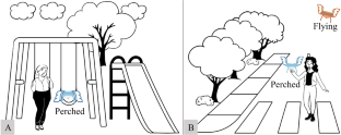 Expanding the Interaction Repertoire of a Social Drone: Physically Expressive Possibilities of a Perched BiRDe