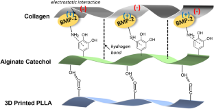 Bioactive Bone Substitute in a Rabbit Ulna Model: Preclinical Study.