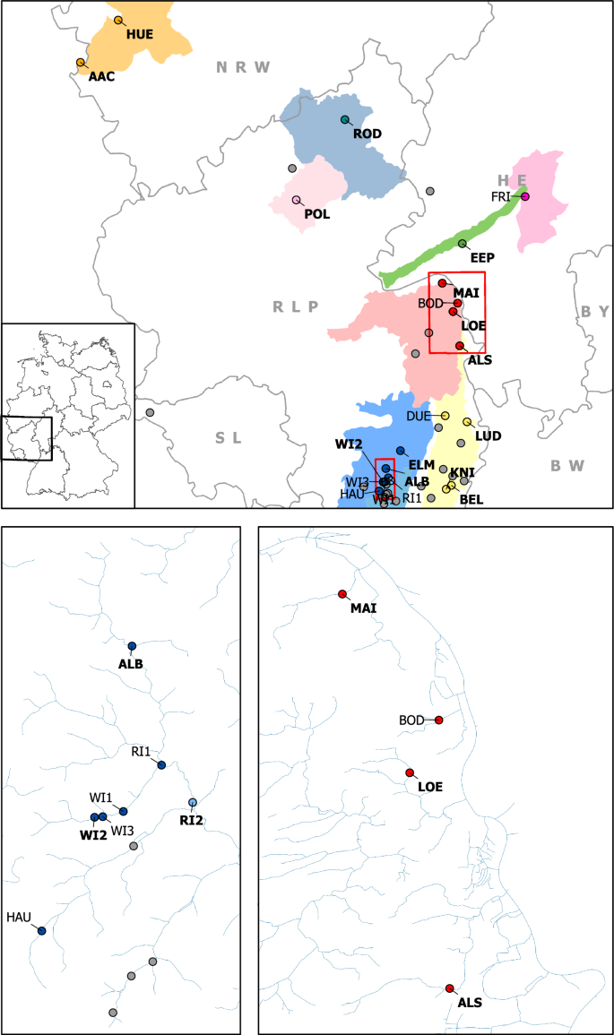 In situ conservation of Helosciadium nodiflorum: a crop wild relative of celery in Germany