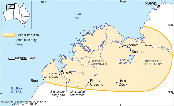 Embedded in the Bark: Kimberley Boab Trees as Sites of Historical Archaeology