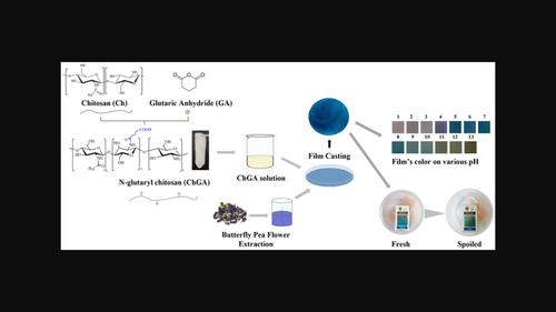 Utilising N‐glutaryl chitosan‐based film with butterfly pea flower anthocyanin as a freshness indicator of chicken breast