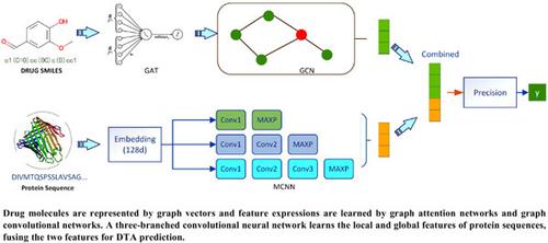 Drug–target binding affinity prediction based on three-branched multiscale convolutional neural networks