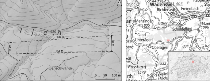 Timber Provision on Soft Soils in Forests Providing Protection Against Natural Hazards: A Productivity and Cost Analysis Using the Koller 507 in the Horizontal Yarding Direction in Switzerland