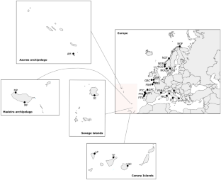 Revealing the diversity of the green Eulalia (Annelida, Phyllodocidae) species complex along the European coast, with description of three new species