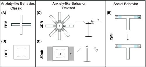 Nature and nurture: Comparing mouse behavior in classic versus revised anxiety-like and social behavioral assays in genetically or environmentally defined groups