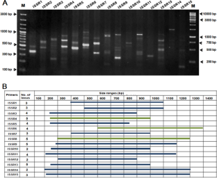 Molecular identity for commercially important inter-specific hybrids of Coffea using ISSR-DNA marker: implication on genetic improvement