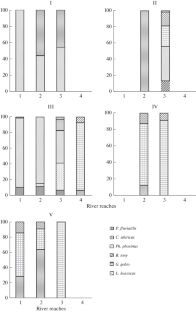 Influence of the Reduction of the Flow of the Foothill Izdrevaya River (the Basin of the Upper Ob) on the Fish Species Composition and Distribution