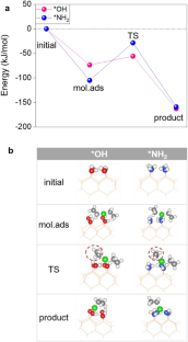 Surface Chemical Reactions During Atomic Layer Deposition of Zinc Oxynitride (ZnON)