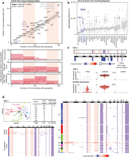 Genetic heterogeneity in p53-null leukemia increases transiently with spindle assembly checkpoint inhibition and is not rescued by p53.