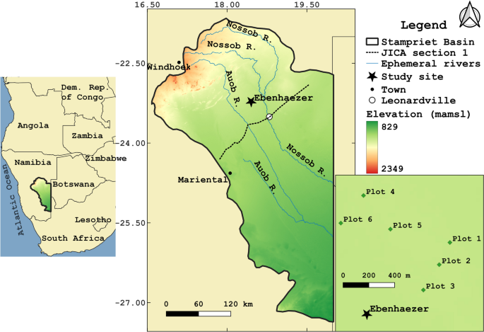 Determinación del aporte de agua y de la profundidad de las raíces activas de plantas leñosas mediante un trazador de deuterio en un sitio de Savannah en el norte de la cuenca de Stampriet, Namibia