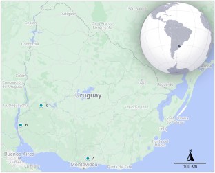 Occurrence of the ground sloth Nothrotheriops (Xenarthra, Folivora) in the Late Pleistocene of Uruguay: new information on its dietary and habitat preferences based on stable isotope analysis