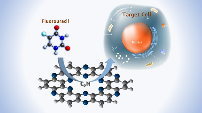 Therapeutic potential of C_2N as targeted drug delivery system for fluorouracil and nitrosourea to treat cancer: a theoretical study