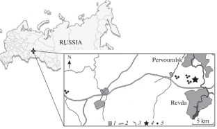 Accumulation of Macro- and Trace Elements in the “Mother–Placenta–Fetus” System in Bank Voles (Clethrionomys glareolus) in the Area of a Large Copper Smelter