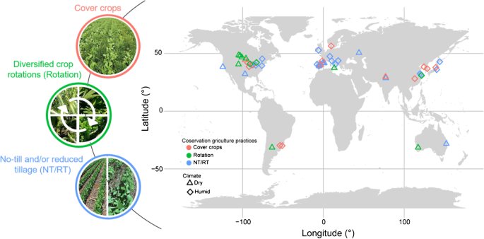 The role of conservation agriculture practices in mitigating N2O emissions: A meta-analysis