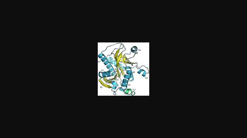 The structure of His-tagged Geobacillus stearothermophilus purine nucleoside phosphorylase reveals a `spanner in the works'.