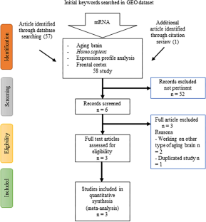 Integrated Transcriptomics and Network Analysis Identified Altered Neural Mechanisms in Frontal Aging Brain-Associated Alzheimer’s Disease