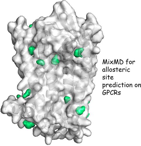 Application of Mixed-Solvent Molecular Dynamics Simulations for Prediction of Allosteric Sites on G Protein-Coupled Receptors.