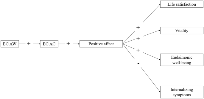 Emotion crafting: Individuals as agents of their positive emotional experiences