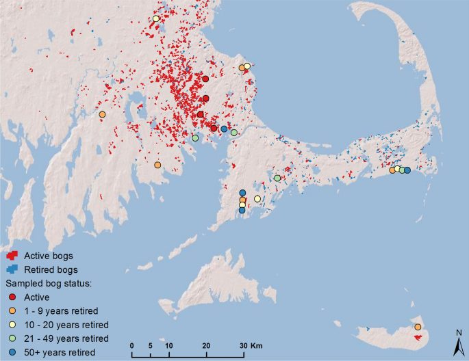 Trajectories of plant communities in Massachusetts, USA cranberry farms discontinued from agriculture