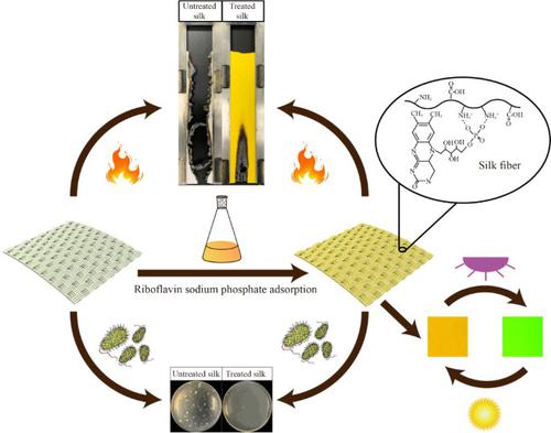 Construction of sustainable, colored and multifunctional protein silk fabric using biomass riboflavin sodium phosphate