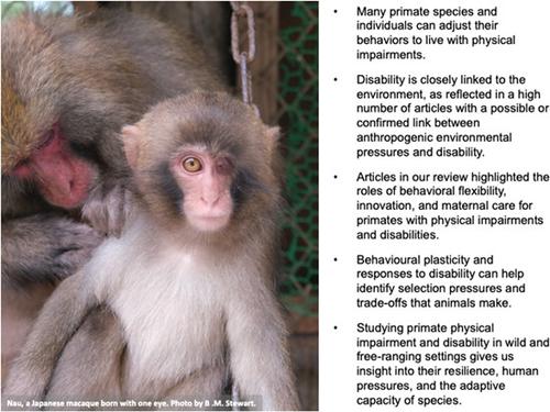 Primates and disability: Behavioral flexibility and implications for resilience to environmental change