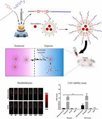 A novel and easy to prepare azo-based bioreductive linker and its application in hypoxia-sensitive cationic liposomal doxorubicin: Synthesis, characterization, in vitro and in vivo studies in mice bearing C26 tumor