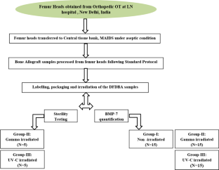 Effect of gamma and Ultraviolet-C sterilization on BMP-7 level of indigenously prepared demineralized freeze-dried bone allograft.