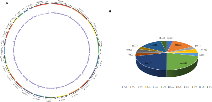 Genome-wide SNP analysis reveals the selection signatures of two indigenous buffalo breeds in Sichuan