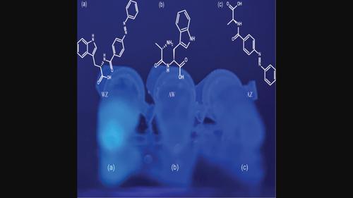 Investigating the interaction of azobenzene moiety on the aromatic amino acid tryptophan