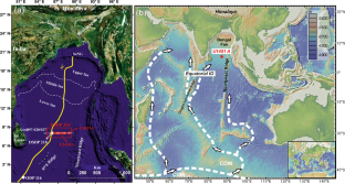 Depositional dynamics of the Bengal Fan since the Late Miocene: discrimination of skinfriction shear stresses of hemipelagic vs. turbiditic deposition