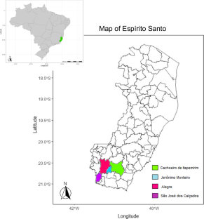 Diversity and structure of Coffea canephora from old seminal crops in Espírito Santo, Brazil: genetic resources for coffee breeding